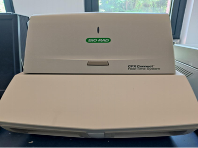 实时定量PCR仪